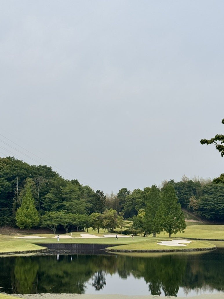 엑셀런트GC 이세오토리